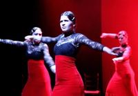 Flamenca Besetzungklein