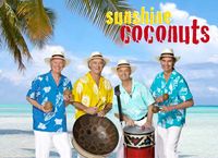 Sunshine Coconuts Beach 1 (1)